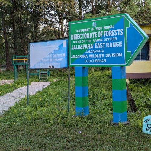 jaldapara Elephant Safari