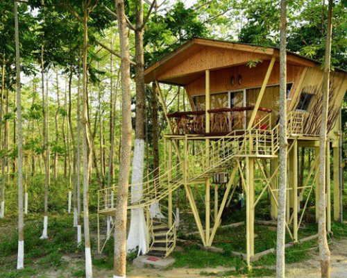 Jaldapara rhino cottage