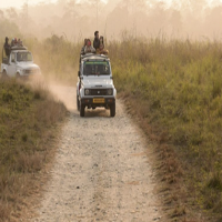 Jeep Safari