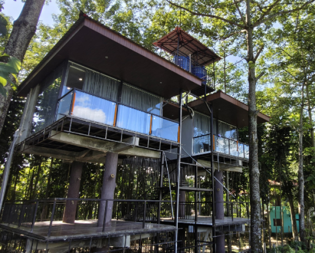 Untitled (1200 x 1350 px) (1)