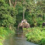 Jaldapara Wildlife Sanctuary elephant safari