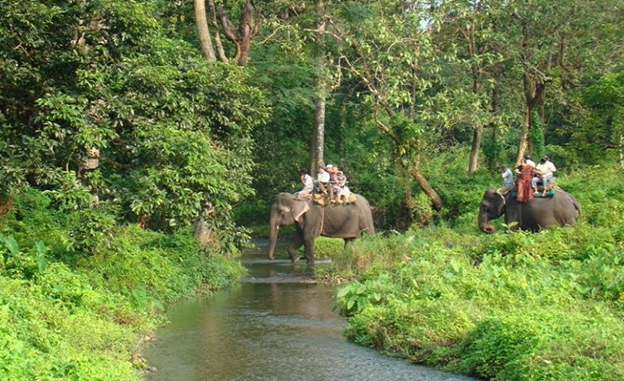 Picture25