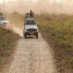 jeep safari jaldapara