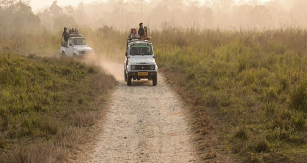 jeep safari jaldapara