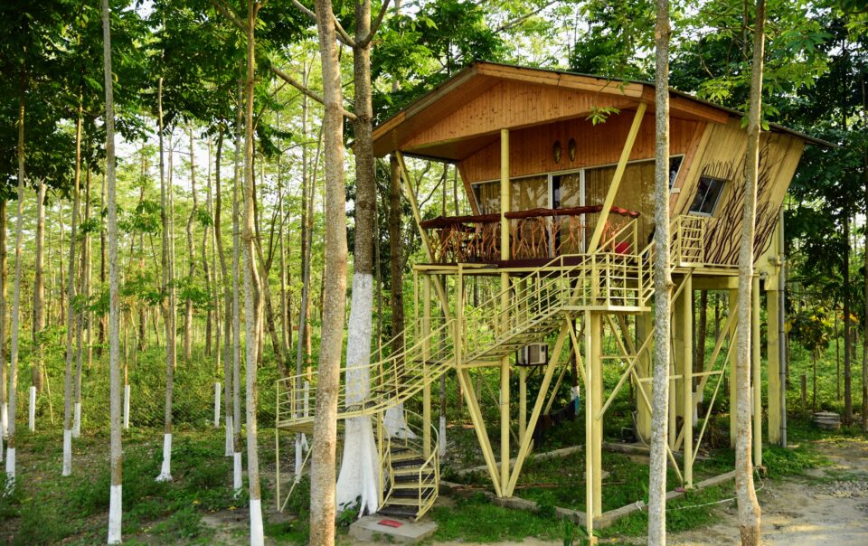 Western Pattern Tree House jajapara rhino cottage