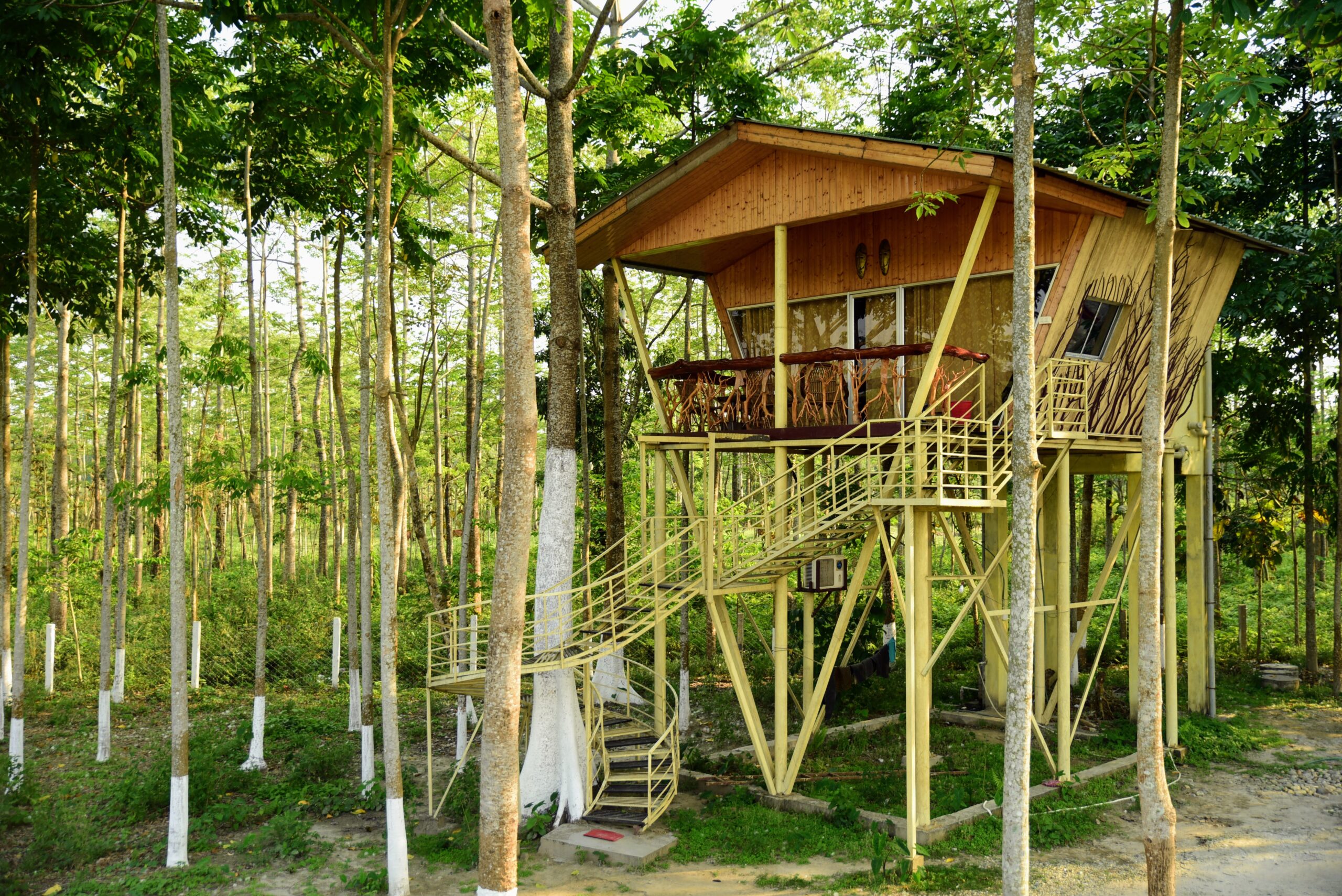 Western Pattern Tree House jajapara rhino cottage