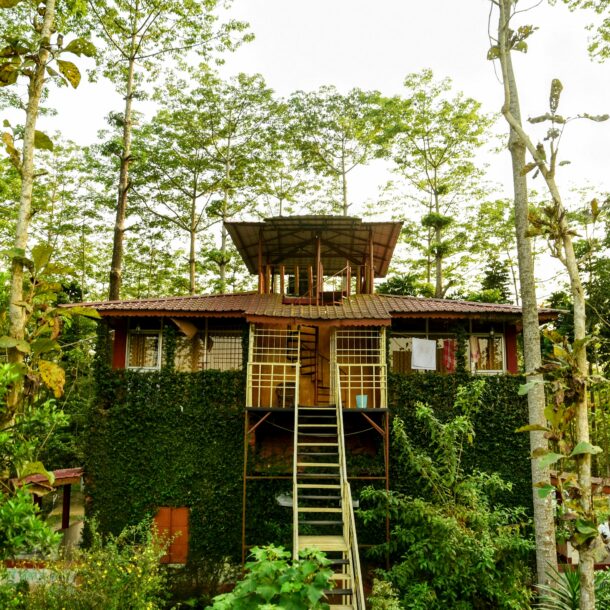 Watch Tower Log House jaldapara rhino cottage