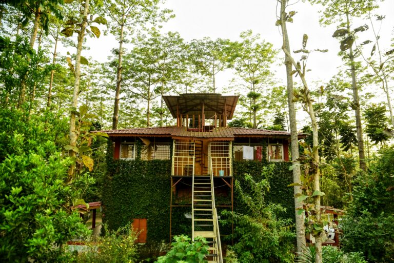 Watch Tower Log House jaldapara rhino cottage