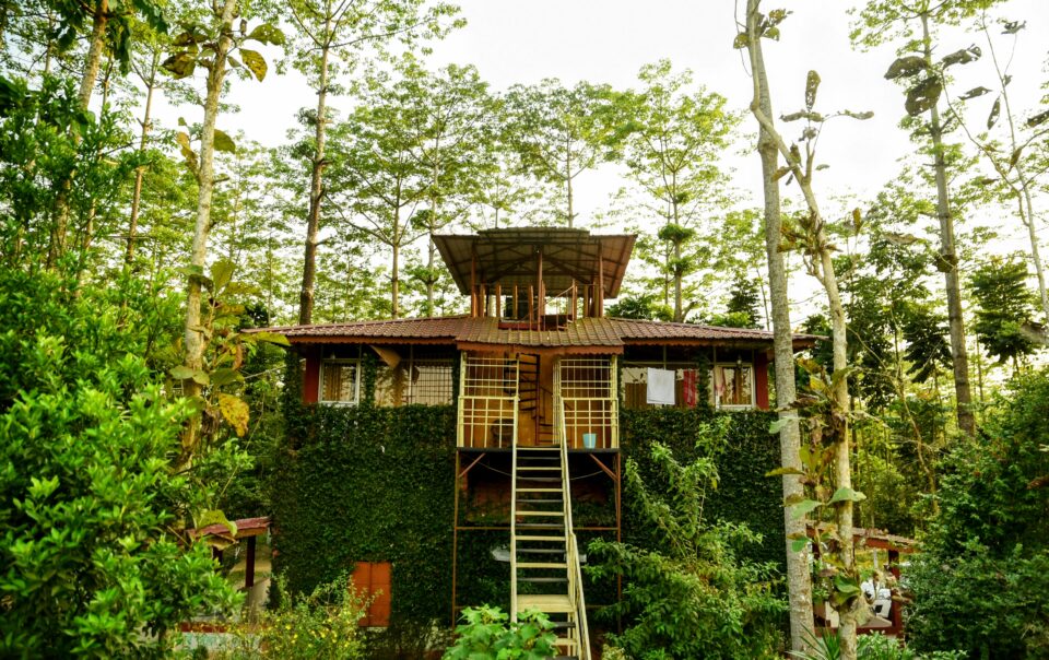 Watch Tower Log House jaldapara rhino cottage