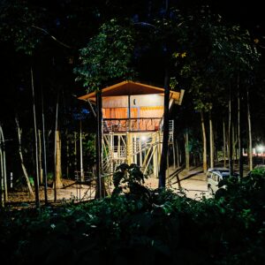 Tree House in India jaldapara Rhino cottage - Jaldapara National park from kolkata