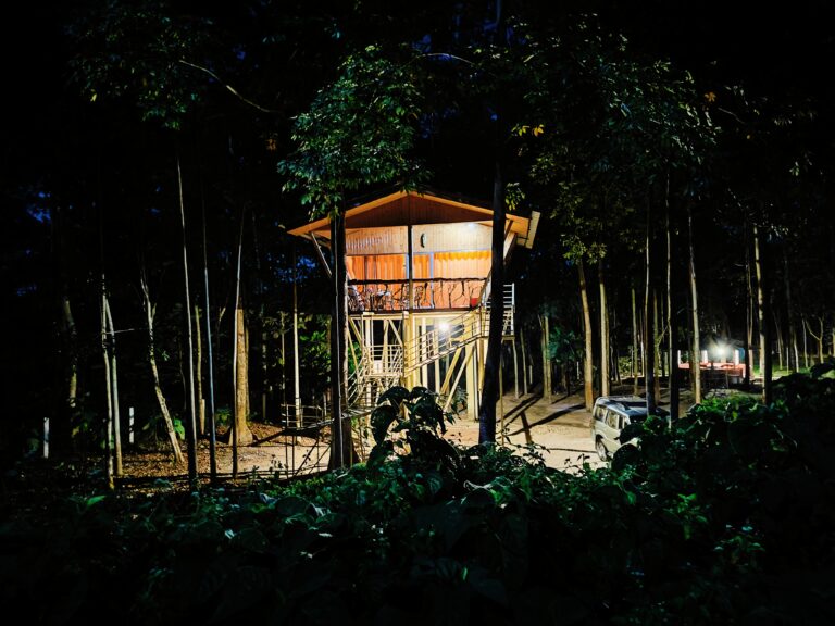 Tree House in India jaldapara Rhino cottage - Jaldapara National park from kolkata