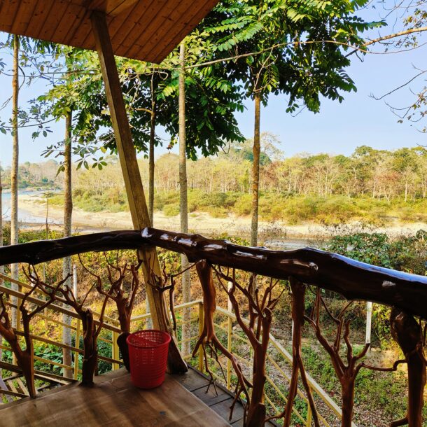 Best Resort in jaldapara Tree house in india, Jaldapara Rhino Cottage