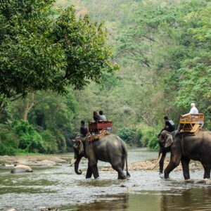 elephant safari jaldapara rhino cottage