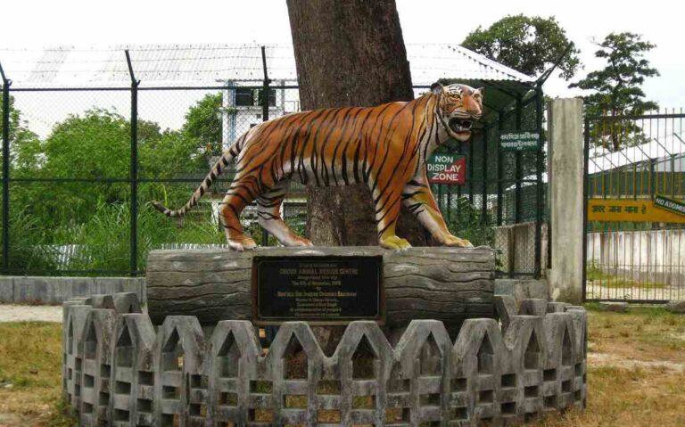 Khayerbari Tiger and Leopard Rescue Centre