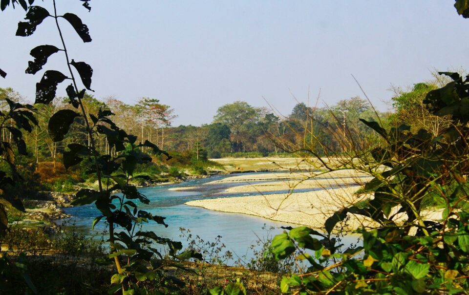 Jaldapara Rhino Cottage river view