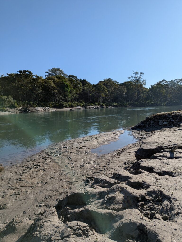 PXL_20241129_030109071