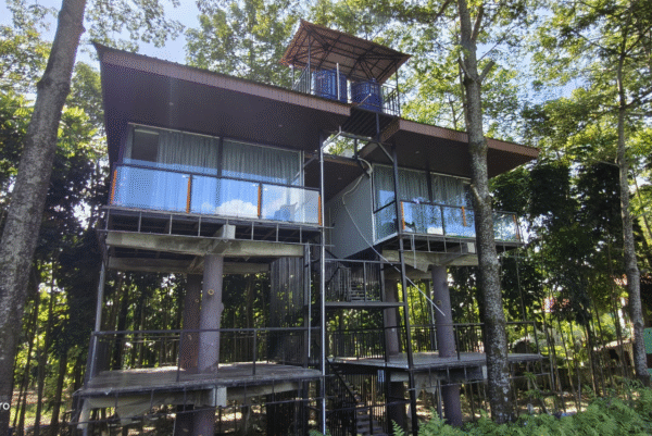 Untitled design - 2025-10-27T133427.997