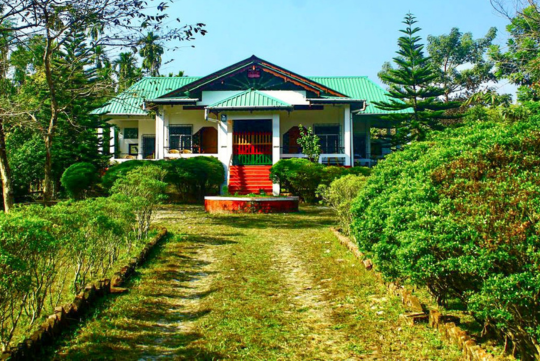 raidak nest